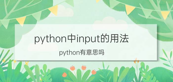 python中input的用法 python有意思吗？